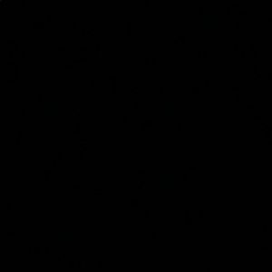 Meet your Posher, Ella